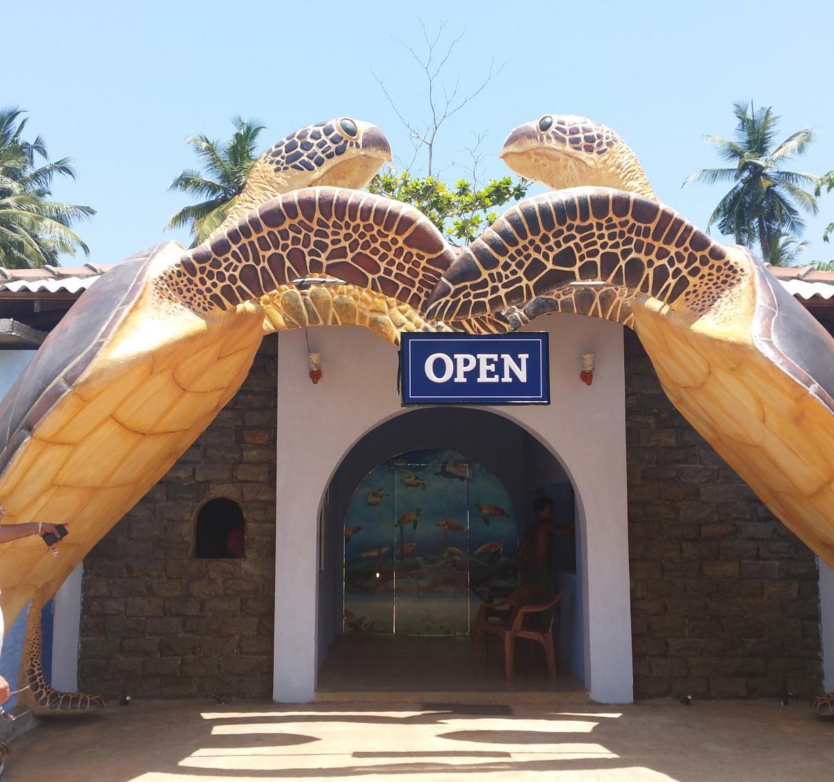 Kosgoda Sea Turtle Conservation Project